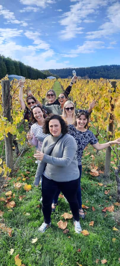 From Wellington: Martinborough Winery Tour - From Wellington to Martinborough: the easy way to do wine country