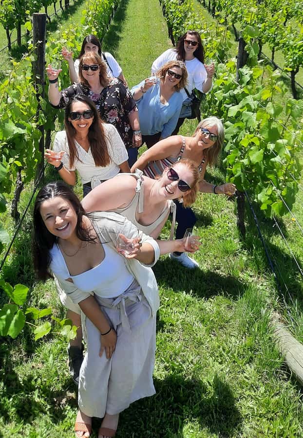 From Wellington: Martinborough Winery Tour - Remutaka Ranges and the 555m summit: where the day turns scenic