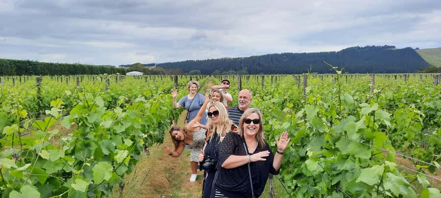 From Wellington: Martinborough Winery Tour - Moy Hall plus Te Kairanga or Te Hera: views, pours, and the cottage vibe