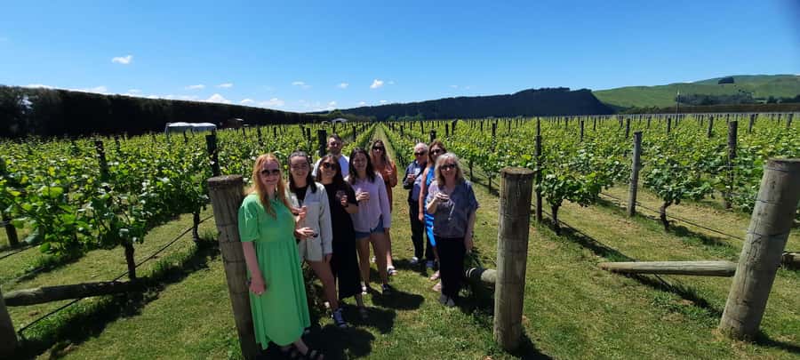 From Wellington: Martinborough Winery Tour - Price and value: what you get for $114 and what you should plan for