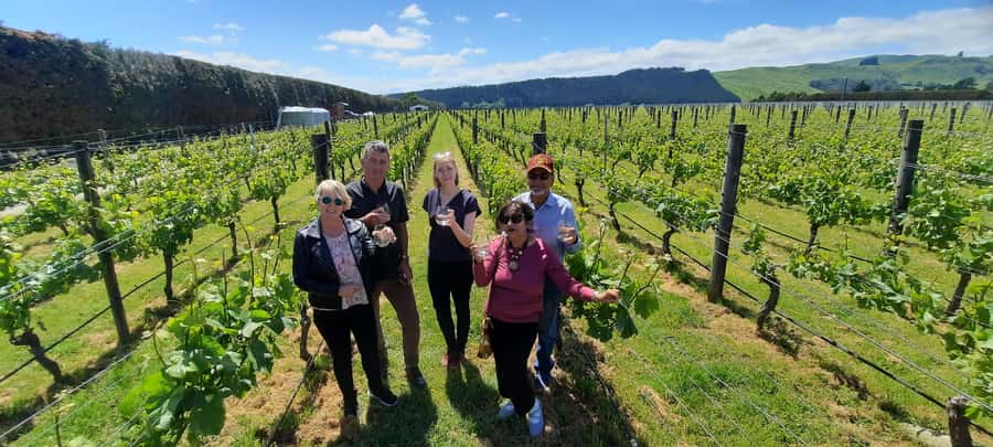 From Wellington: Martinborough Winery Tour - Martinborough town time: how the stops stay relaxed