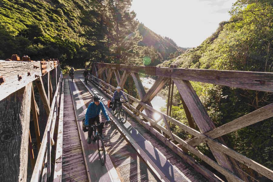 From Wellington: Remutaka Rail Trail eBike Tour - The pickup back to Wellington Station or Port, with timing you must watch