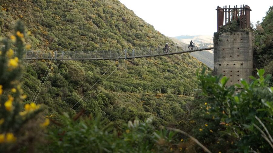 From Wellington: Remutaka Rail Trail eBike Tour - Tips to get the most from tunnels, bridges, and reading the history