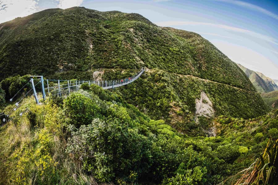 From Wellington: Remutaka Rail Trail eBike Tour - Headlights on: pedaling through the Remutaka tunnels