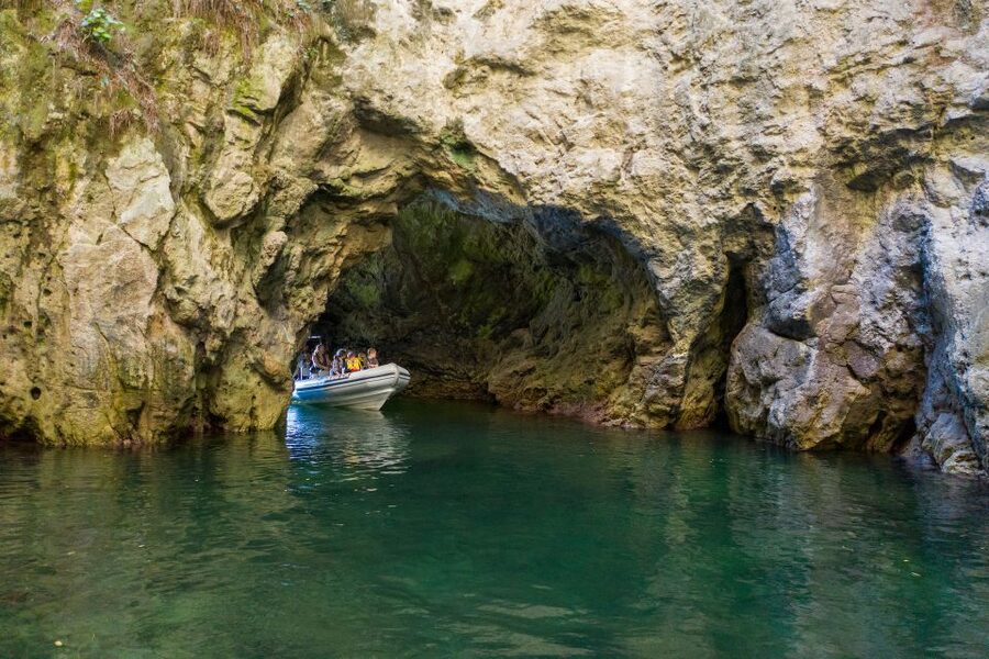 From Whitianga: Cathedral Cove Cruise with Snorkeling - Shakespeare Cliff, Lonely Bay, and those coast-hugging views