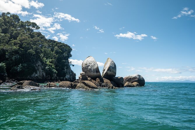 Full-Day Abel Tasman National Park Hiking Tour with Cruise - Price and what you’re really paying for