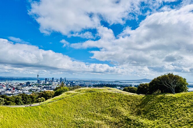 Full-Day Auckland Discovery - Quick hits if you want the highlights
