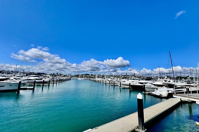 Full-Day Auckland Discovery - Stop 5: Auckland Harbour Bridge, the icon and the views