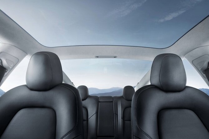 Full-Day Driver with Tesla Car-Customisable North Island Tour - Putaruru Blue Spring: a fast, free nature break