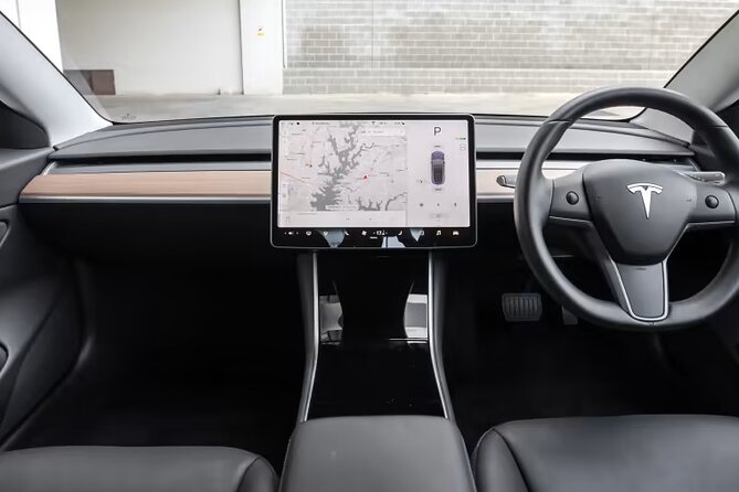 Full-Day Driver with Tesla Car-Customisable North Island Tour - Waitomo Glowworm Caves: 45 minutes that should not feel rushed