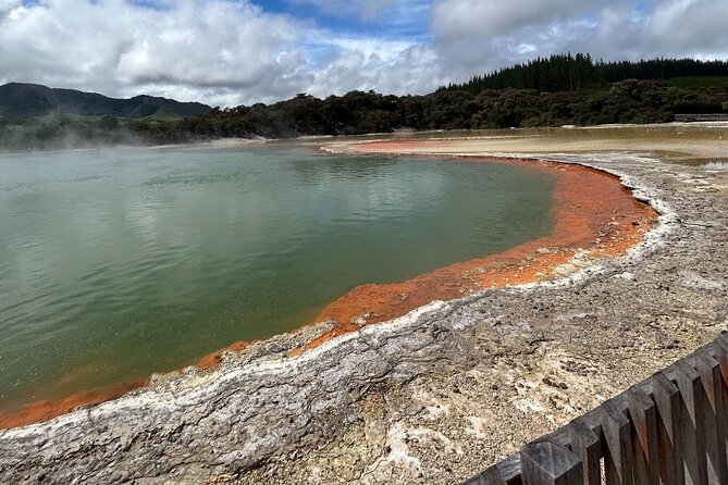 Full-Day Driver with Tesla Car-Customisable North Island Tour - Whakarewarewa, Agrodome, and Skyline Rotorua: culture, animals, and big views