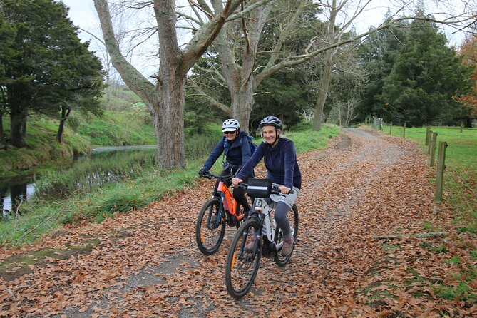Full Day Ebike Tour in Karangahake Gorge (ex Auckland) - Custom-fitted e-bikes, plus support that lowers the stress