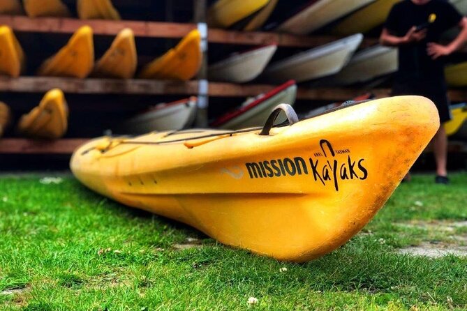 Full-Day Freedom Kayak Rental in New Zealand - Adele Island is the reason to do this one