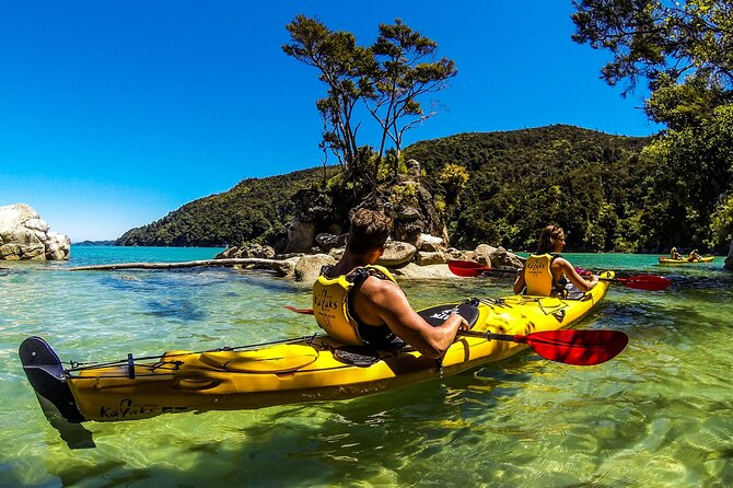 Full-Day Freedom Kayak Rental in New Zealand - Your unguided route: paddle to Adele and Fisherman Islands