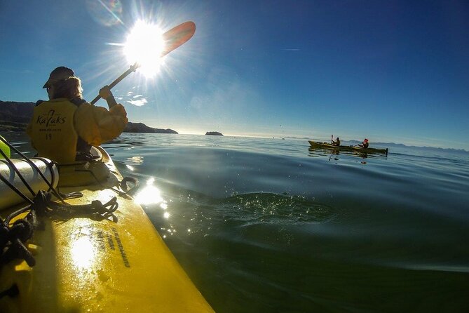 Full-Day Freedom Kayak Rental in New Zealand - Caves and high tide: the one factor you can’t ignore