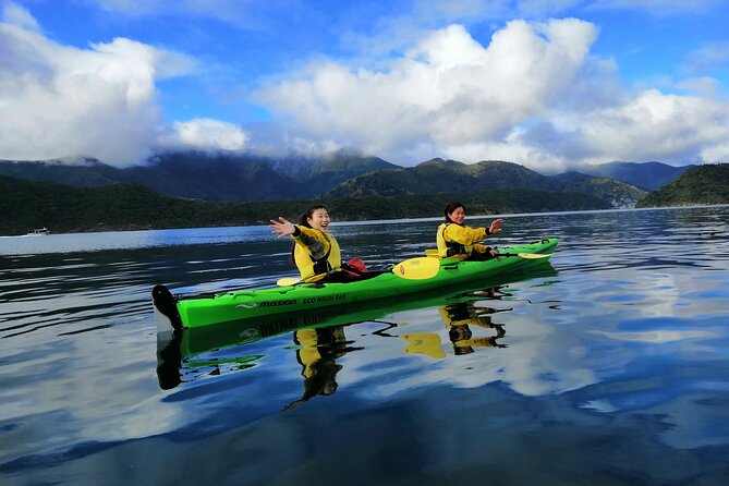 Full day Guided Sea Kayak Tour from Picton - Key Things to Know Before You Paddle