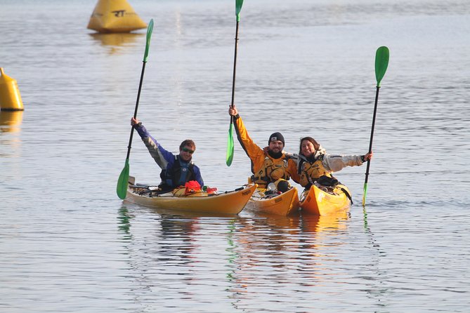 Full day Guided Sea Kayak Tour from Picton - Your Kayak Setup: Comfort, Safety, and a Dry Bag for Your Camera