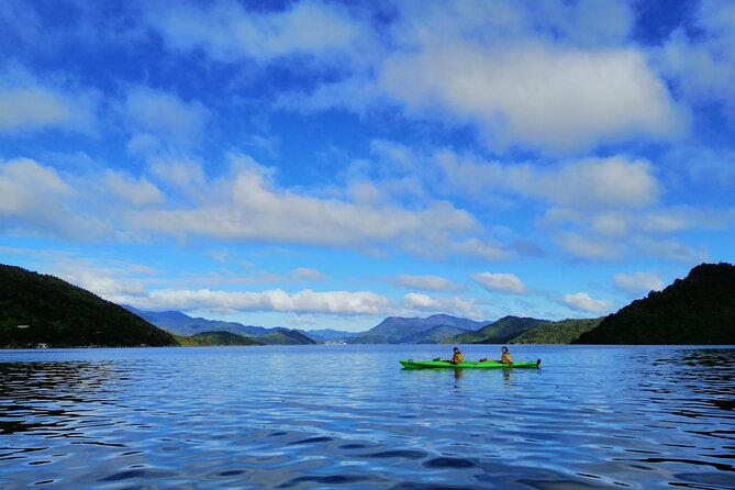 Full day Guided Sea Kayak Tour from Picton - Beachside Lunch in the Right Setting, Local Ingredients Included