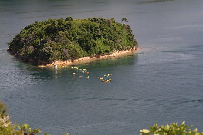 Full day Guided Sea Kayak Tour from Picton - The Day’s Flow: Marlborough Sounds, Then the Day Tour Rhythm