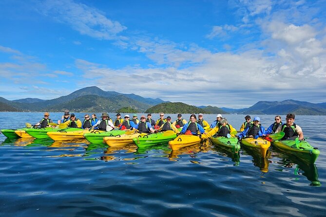 Full day Guided Sea Kayak Tour from Picton - How the Route Changes With the Day’s Sea Breezes