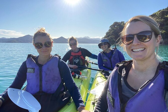 Full-Day Guided Sea Kayak Trip from Picton - Key Things I’d Tell a Friend Before You Go