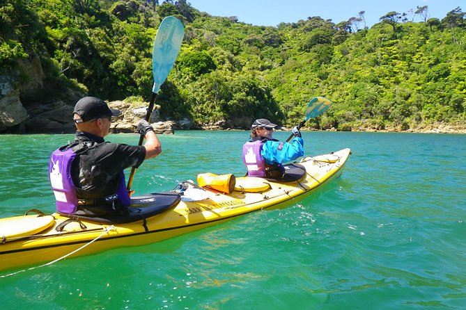 Full-Day Guided Sea Kayak Trip from Picton - Getting Started in Picton at 8:15 and Staying Sane