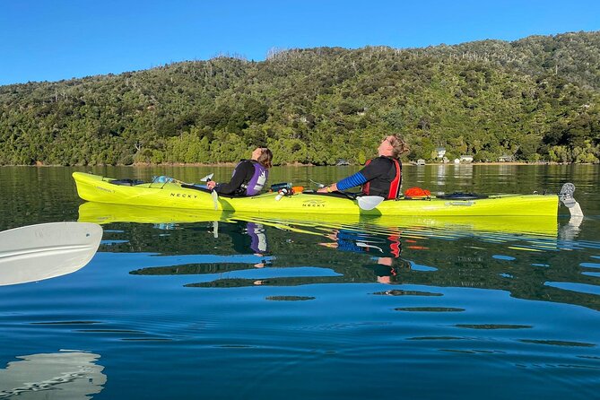 Full-Day Guided Sea Kayak Trip from Picton - Morning Paddle: Queen Charlotte Sound Bays, a Remote Tea Break