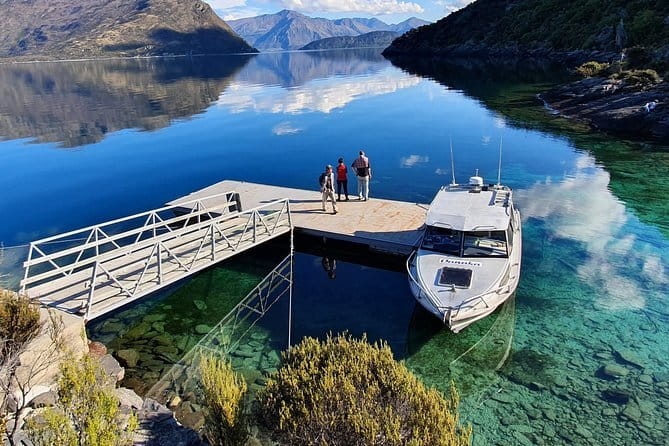 Full-Day Guided Sea Kayak Trip from Picton - Wildlife Spotting and the Guide’s On-Water Commentary
