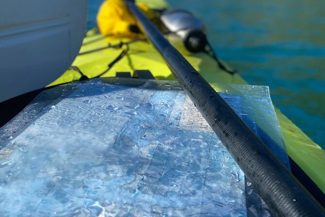 Full-Day Guided Sea Kayak Trip from Picton - Price, Duration, and Whether It’s Worth $105.50
