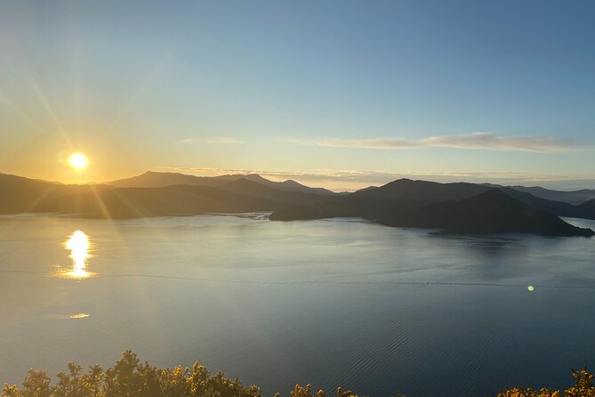 Full-Day Guided Sea Kayak Trip from Picton - Who This Trip Suits Best (and Who Might Feel Wrong)