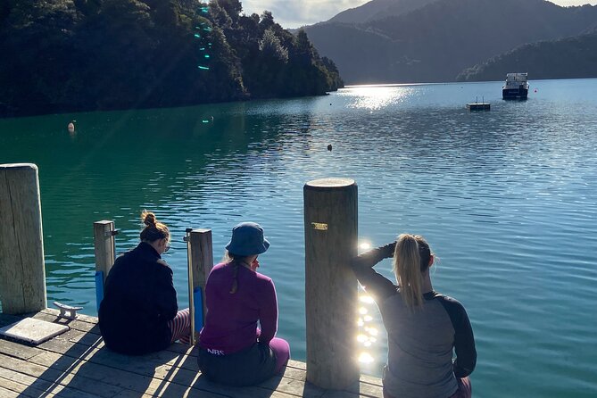 Full-Day Guided Sea Kayak Trip from Picton - What the Included Gear Actually Means for Your Day