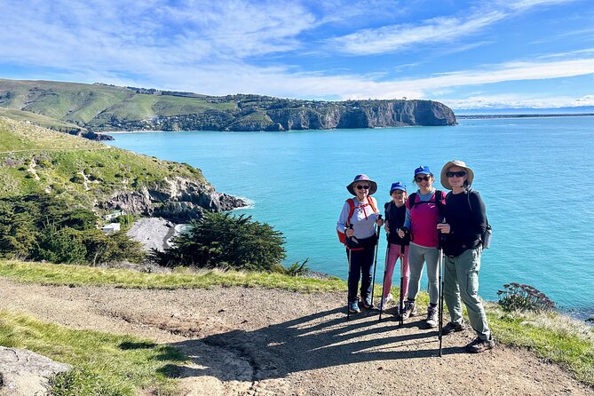Full Day Guided Walking Tour and Picnic around Godley Head - What you get for $186.17: value that’s more than just a guided walk