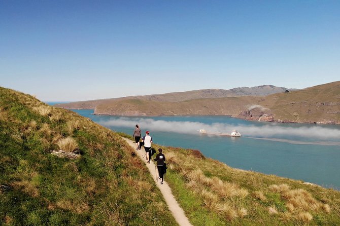 Full Day Guided Walking Tour and Picnic around Godley Head - Who should book this (and who should choose something else)