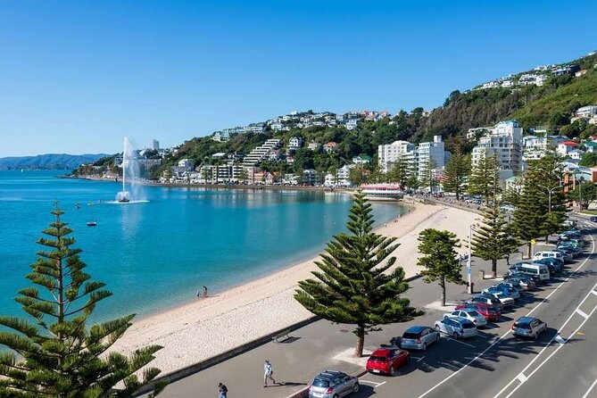 Full Day Guided Wellington Tour including guided tour at Te Papa - Key Things That Make This Wellington Tour Worth Your Time