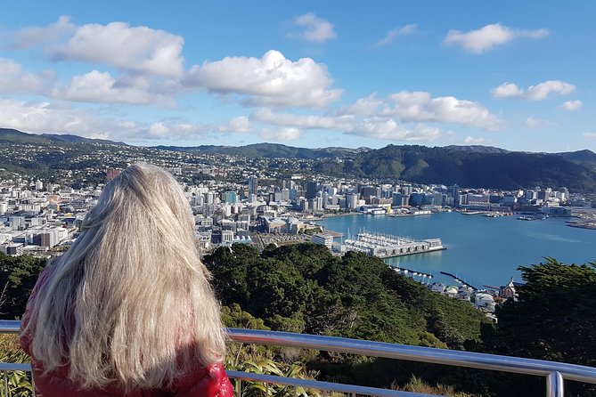 Full Day Guided Wellington Tour including guided tour at Te Papa - Price and Value: Is $182.39 a Good Deal?