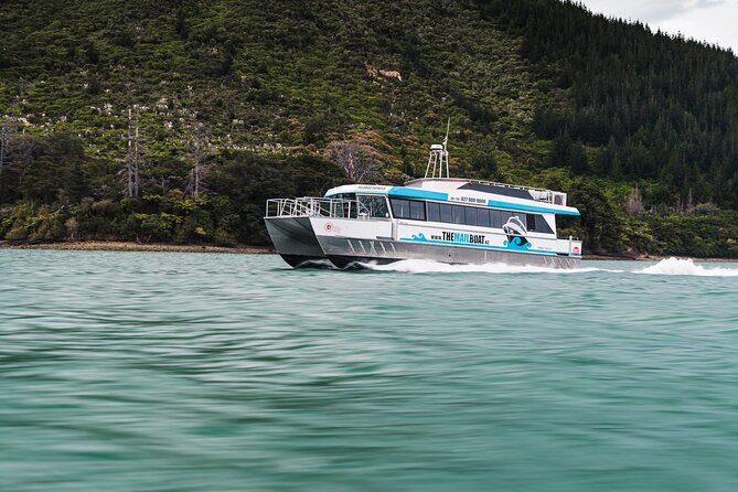 Full Day Iconic Mail Boat Cruise - Kenepuru Sound deliveries: remote bays and photo moments