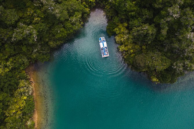 Full Day Iconic Mail Boat Cruise - Deck comfort in New Zealand weather: staying warm and seeing wildlife