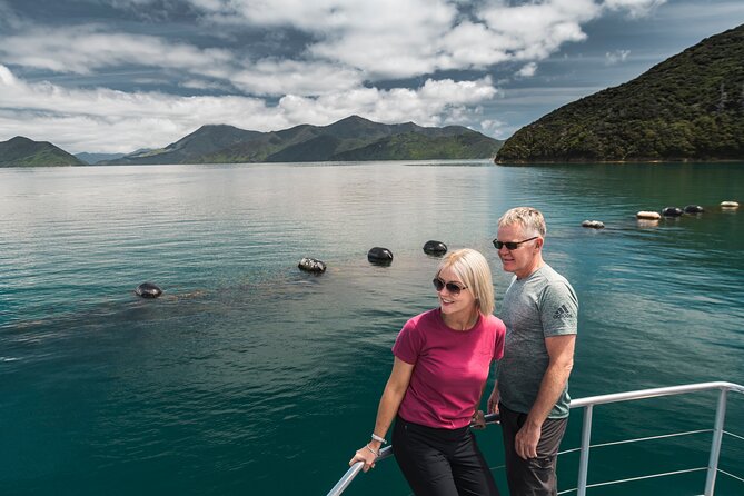 Full Day Iconic Mail Boat Cruise - Quick planning checklist for your day