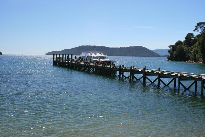 Full-Day Marlborough Catamaran Cruise with Wine Tour and Lunch - Key things I’d watch for before you go