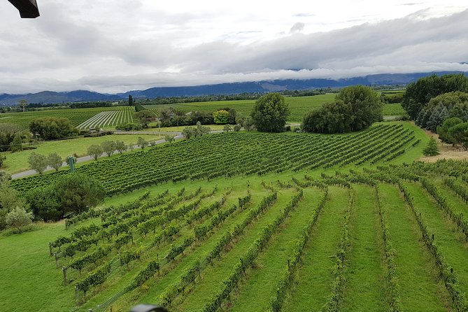 Full-Day Marlborough Catamaran Cruise with Wine Tour and Lunch - The afternoon wineries, with tastings plus real driving time