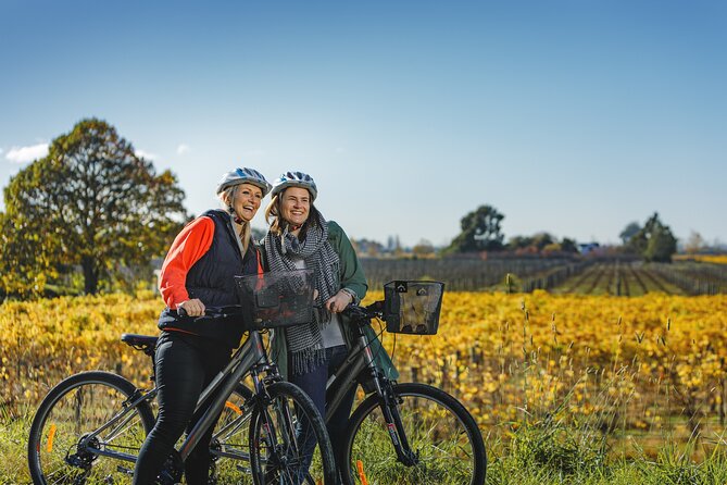 Full-Day Marlborough Wine Region Bike Hire - Key things I’d plan around