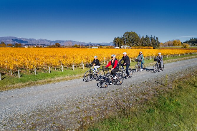 Full-Day Marlborough Wine Region Bike Hire - A smart tasting plan: whites, then maybe pinot noir