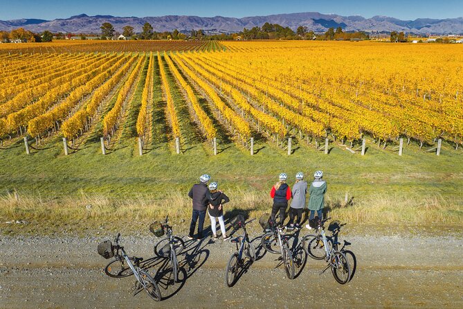 Full-Day Marlborough Wine Region Bike Hire - Should you book the Full-Day Marlborough Wine Region Bike Hire?