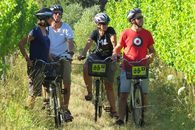 Full-Day Marlborough Wine Region Bike Hire - Riding the Marlborough wine trail, 9:30am to 4:30pm