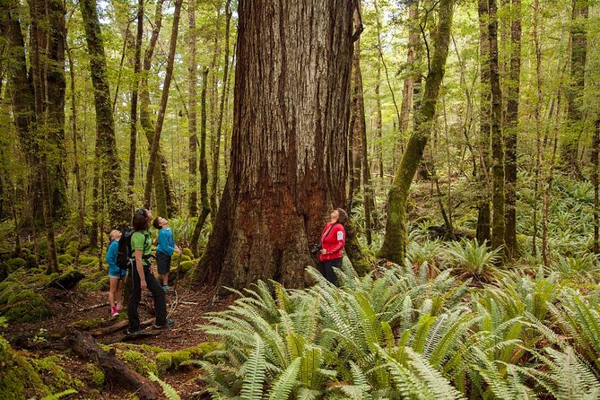 Full-Day Milford Sound Tour with Cruise and Walks from Te Anau - Key highlights that make this tour worth your time