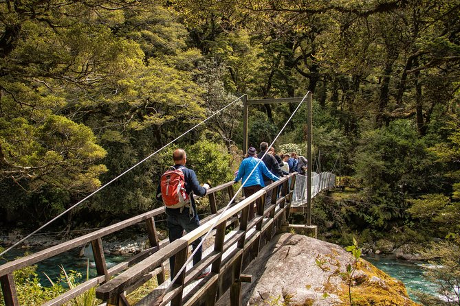 Full-Day Milford Sound Tour with Cruise and Walks from Te Anau - Guided and self-guided walks: short, varied, and worth doing