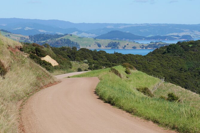 Full Day Private Waiheke Island Wine Tour Including Lunch - A Mercedes V250D Wine Day, Designed Around Comfort