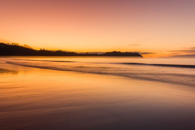 Full Day Private Waiheke Island Wine Tour Including Lunch - Stop 1: Oneroa Beach, Why It’s a Smart Start