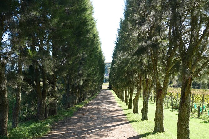 Full Day Private Waiheke Island Wine Tour Including Lunch - Price and Value: What $434.40 per Person Really Buys