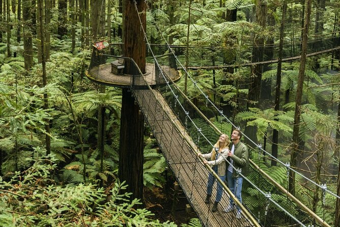 FULL DAY ROTORUA TOUR - Fully Customisable 13 hours Unlimited KMS - Why a private driver makes Rotorua and Taupō feel easier